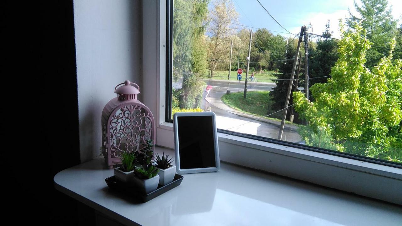 Willa Nad Sola Guest House オシフィエンチム エクステリア 写真